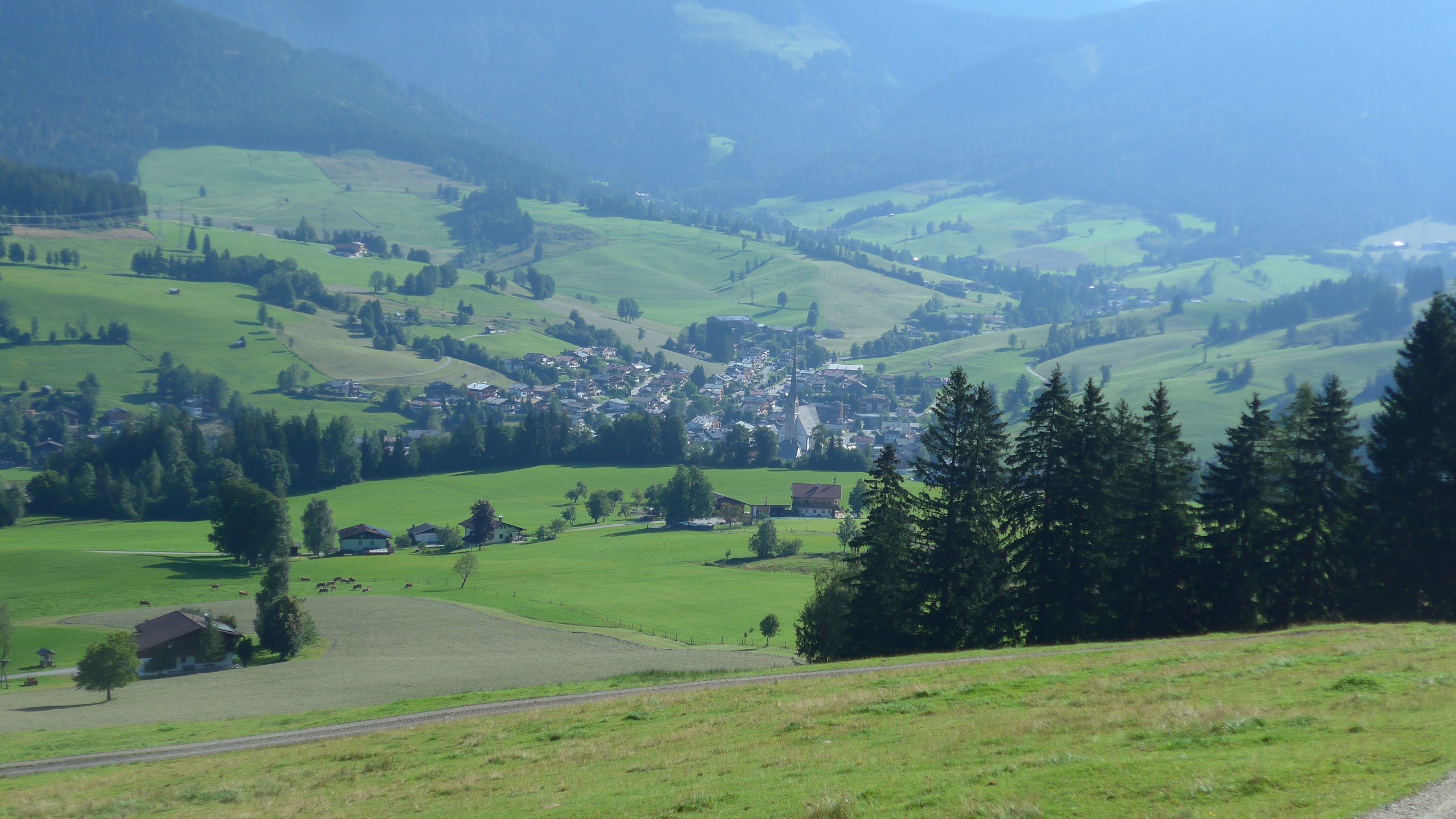 Blick auf Maria Alm